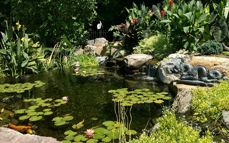 15'X18' POND: SILVER PACKAGE-image
