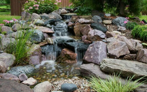 SMALL PONDLESS: PLATINUM PACKAGE-image