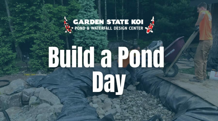 build a pond