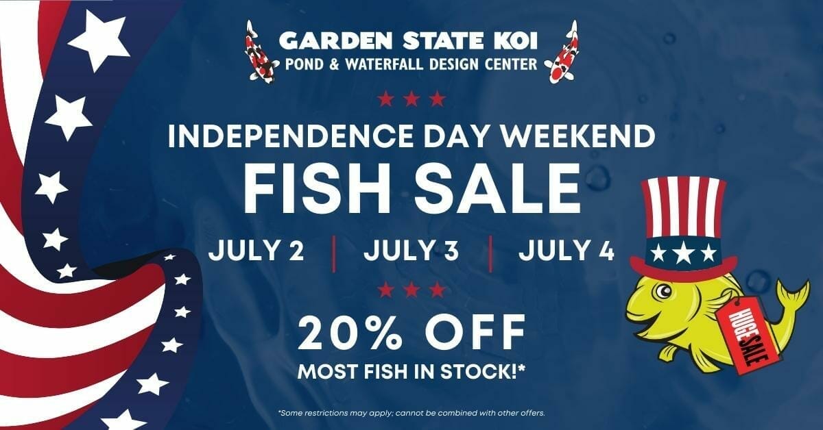 independence day sale fb