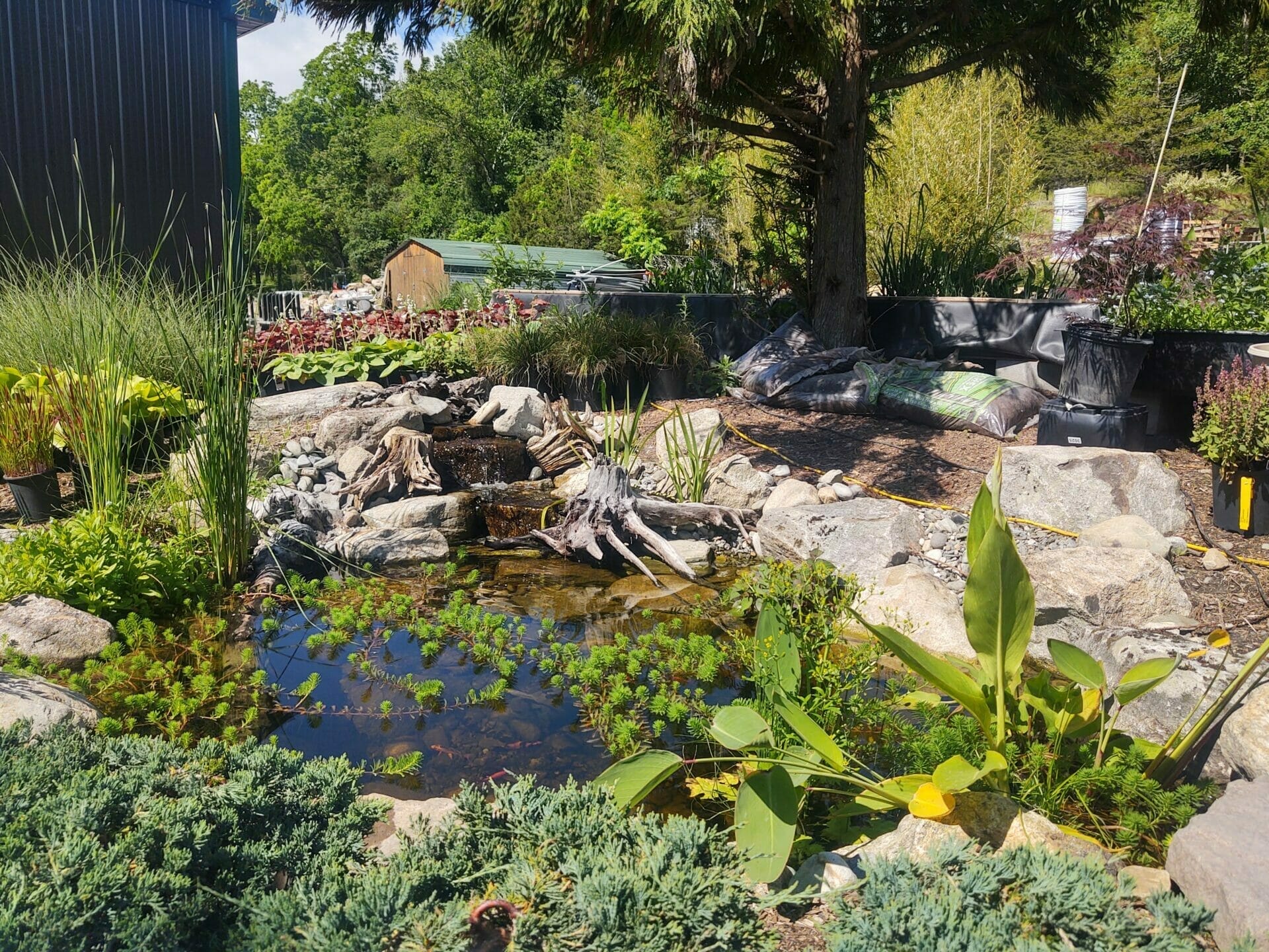 Display Gardens | Garden State Koi Pond & Waterfall Design Center